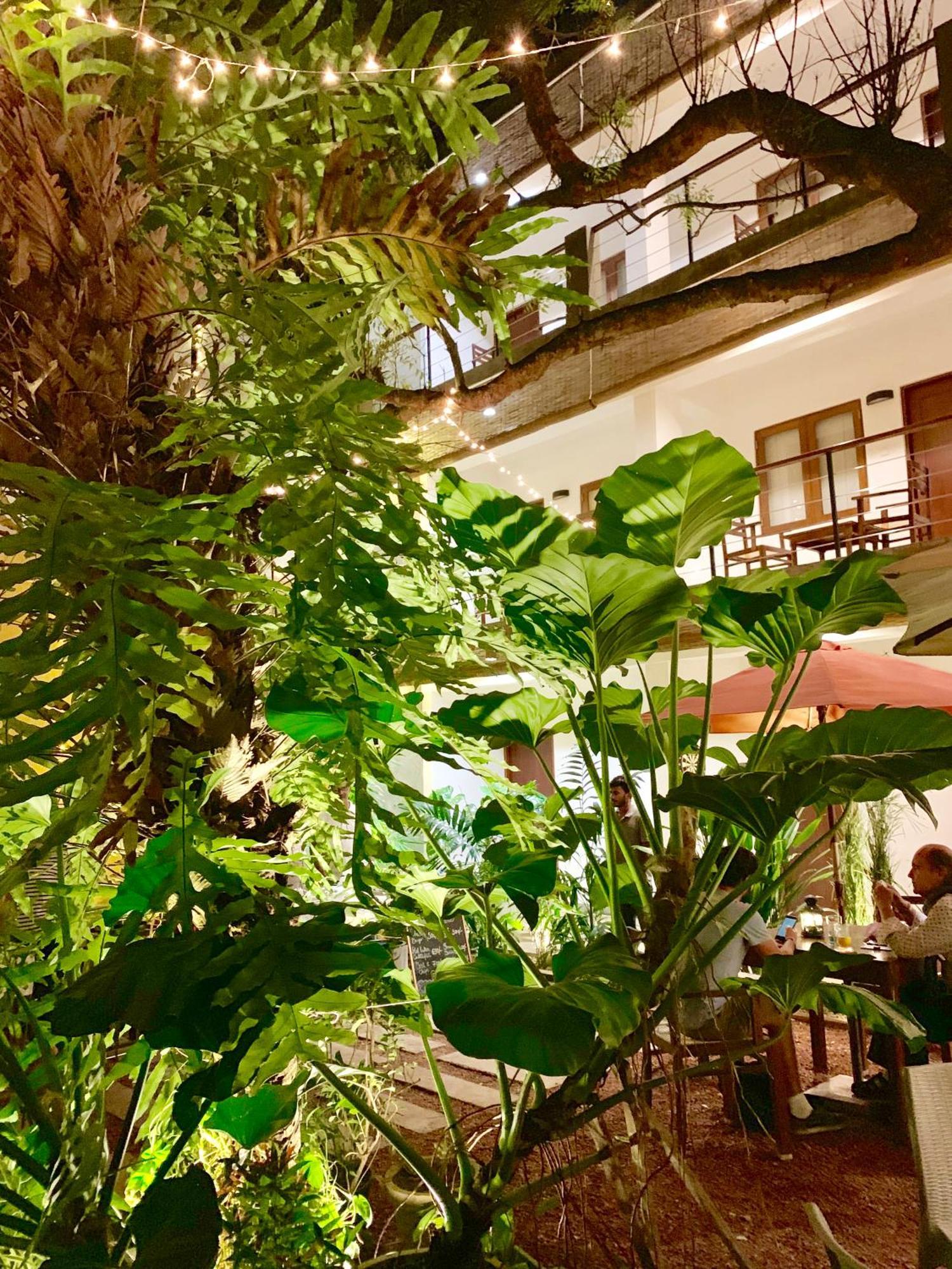 Sayura House Hotel Коломбо Екстериор снимка